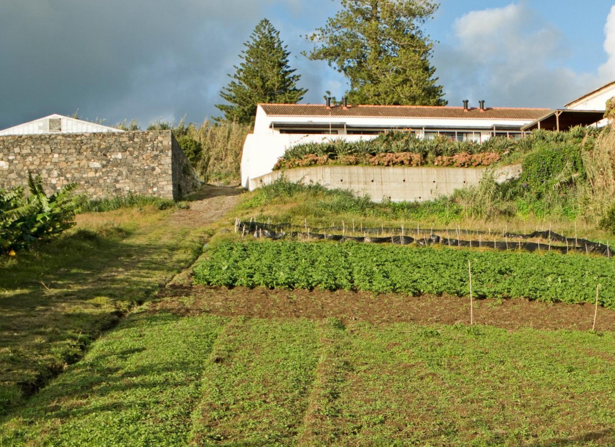 Qva - Quinta Velha Das Amoreiras Villa Vila Franca do Campo Exterior foto